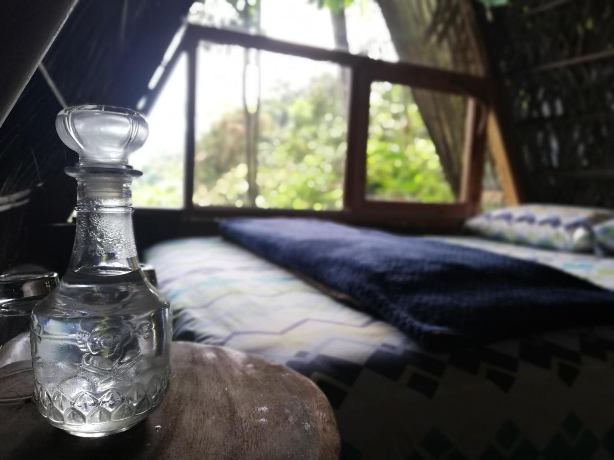 Jungle Roots Hotel Тена Екстериор снимка