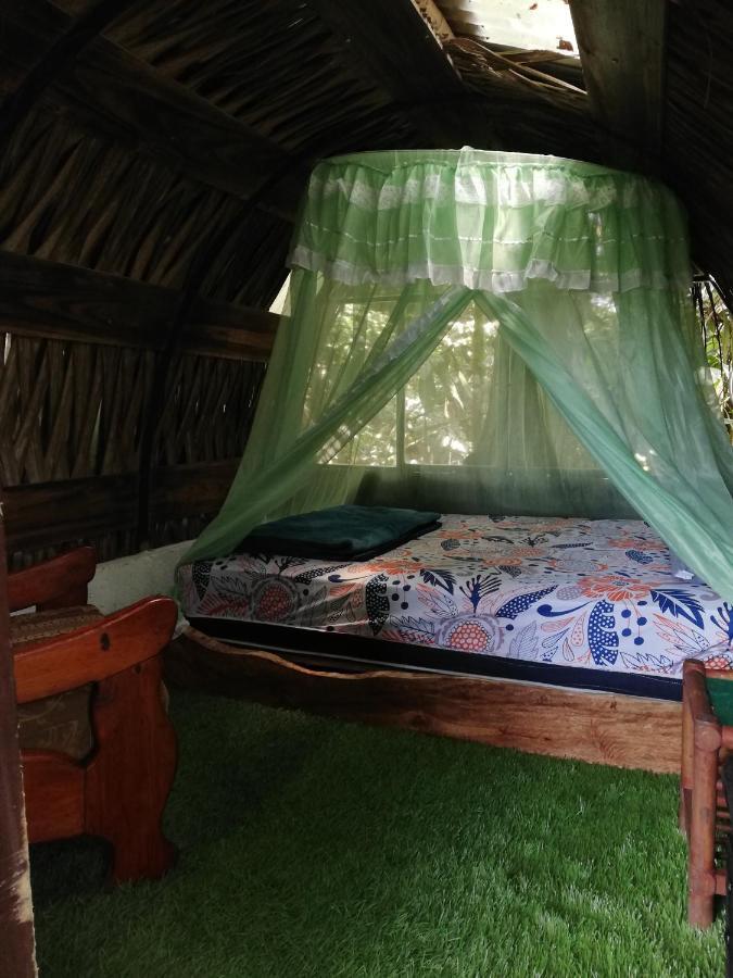 Jungle Roots Hotel Тена Екстериор снимка
