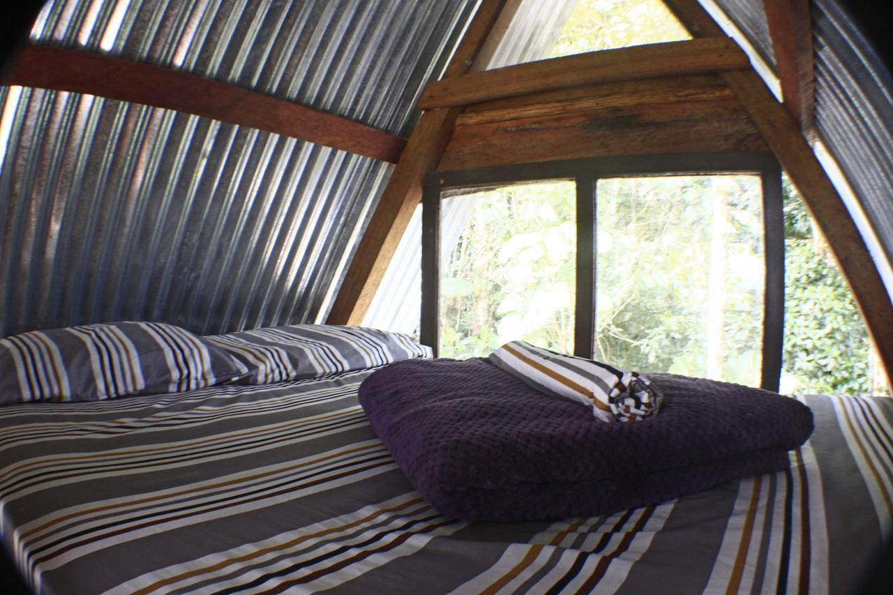 Jungle Roots Hotel Тена Екстериор снимка