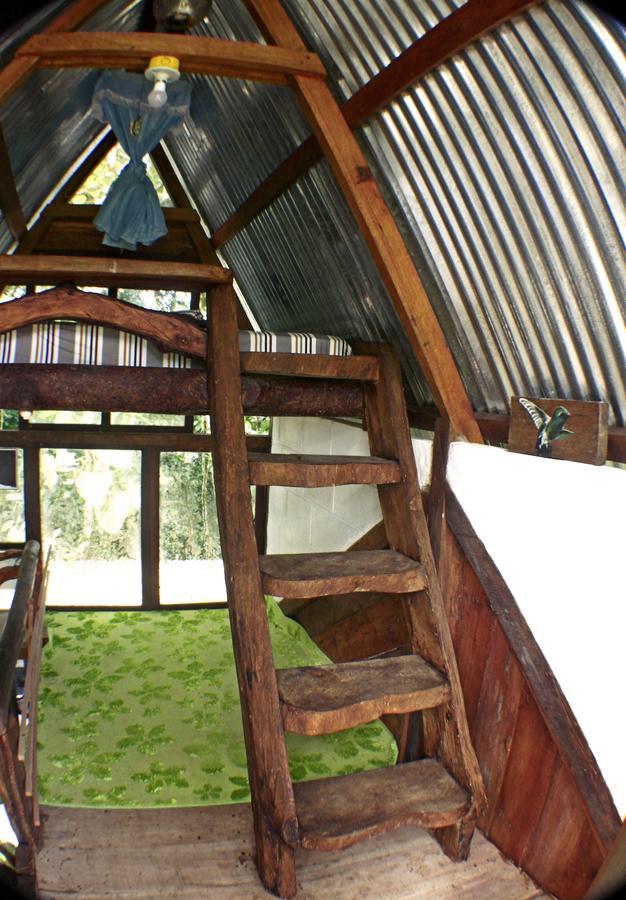 Jungle Roots Hotel Тена Екстериор снимка