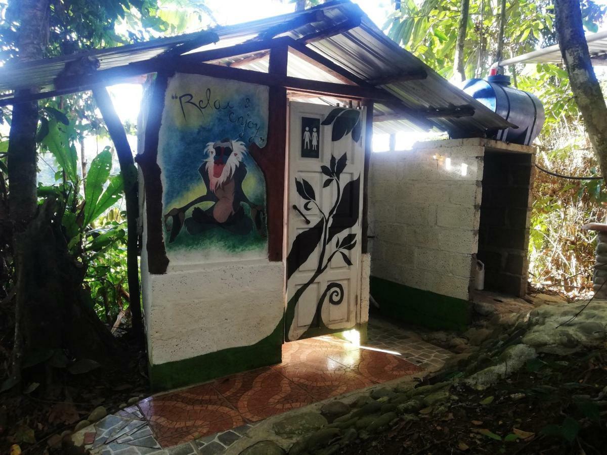 Jungle Roots Hotel Тена Екстериор снимка