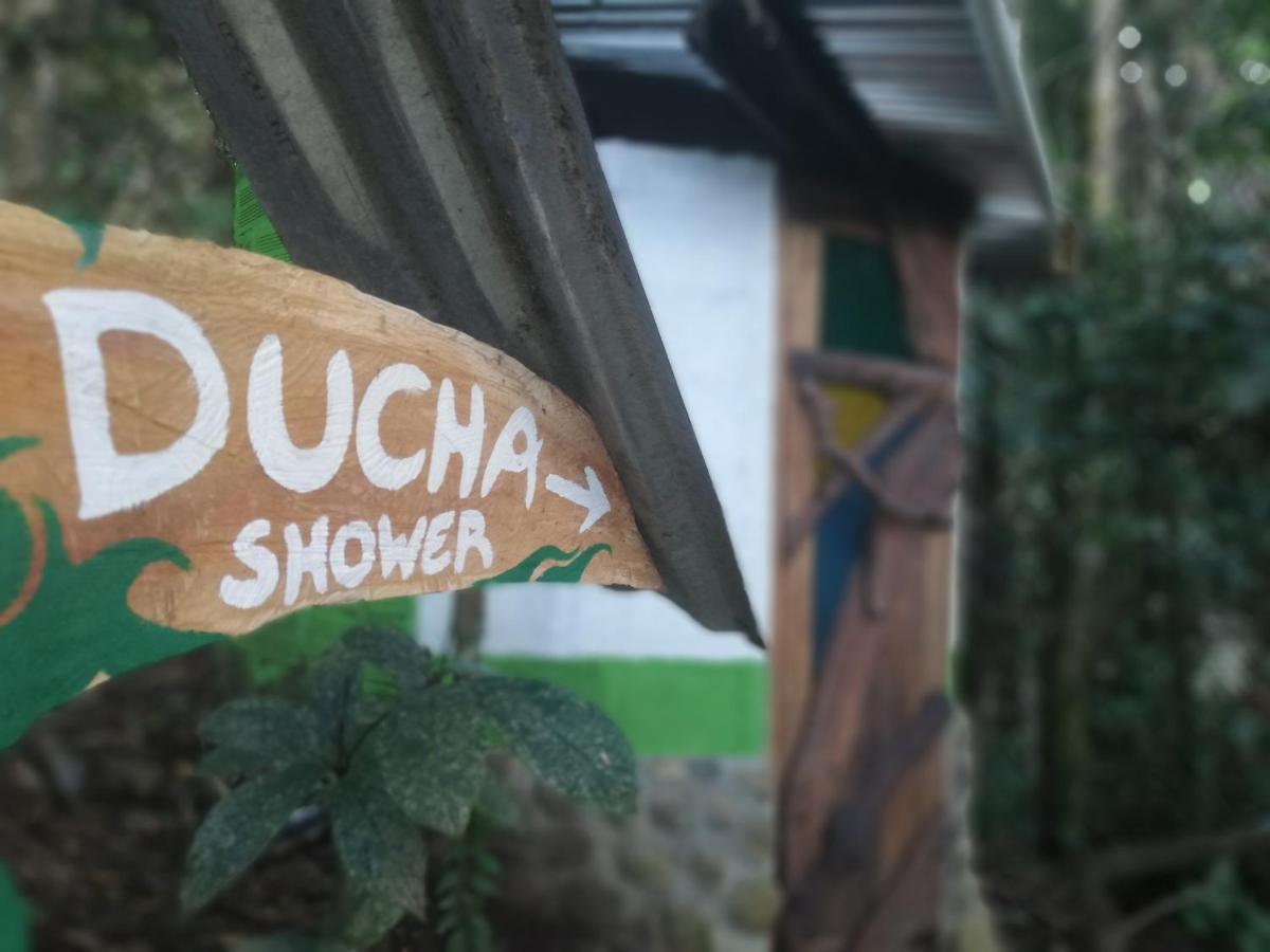Jungle Roots Hotel Тена Екстериор снимка